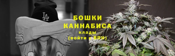 индика Абдулино