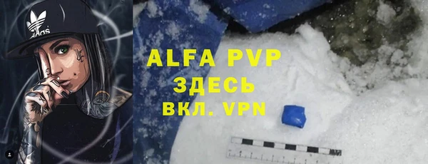 индика Абдулино