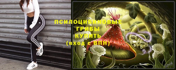 spice Гусь-Хрустальный