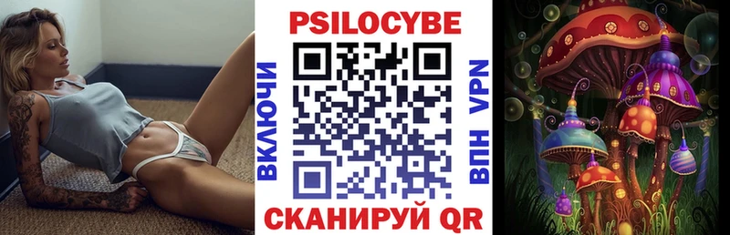 Псилоцибиновые грибы мицелий  Тутаев 